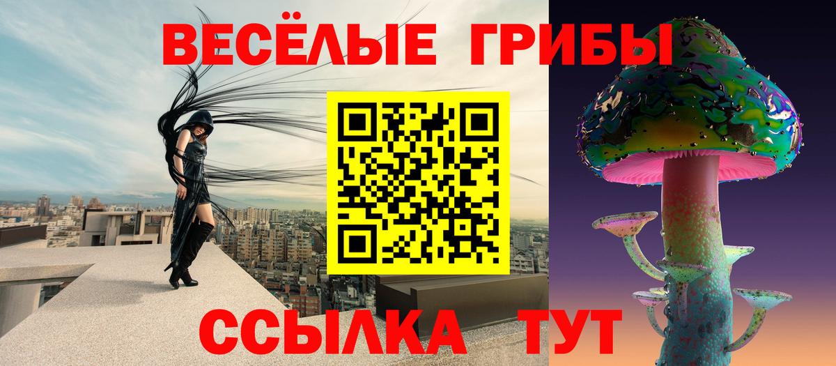Галлюциногенные грибы GOLDEN TEACHER  Псилоцибиновые грибы Psilocybine cubensis  Малоярославец  Вход с VPN 